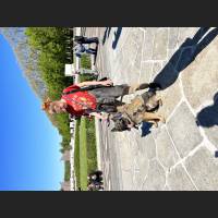 IMG_8429.jpg